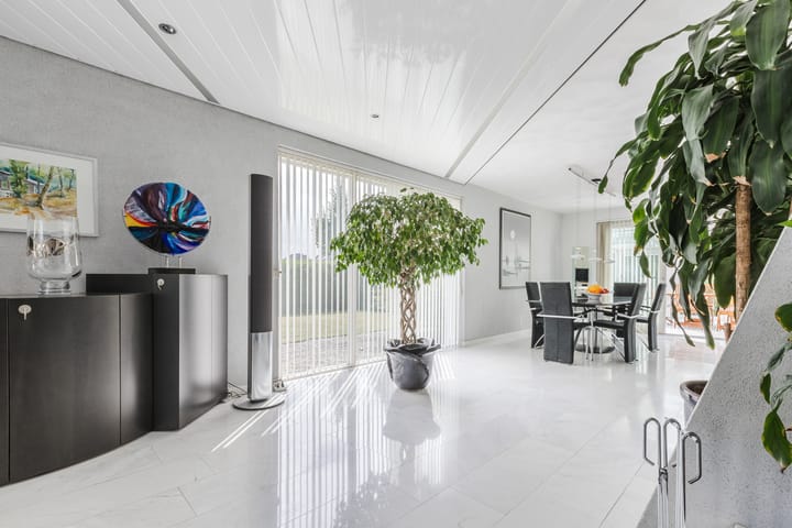 Photo 10 of Zwarte Dolfijn 26