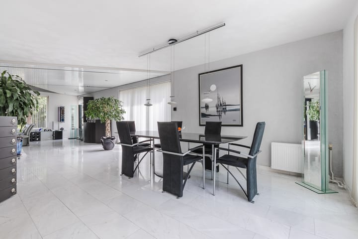 Photo 11 of Zwarte Dolfijn 26