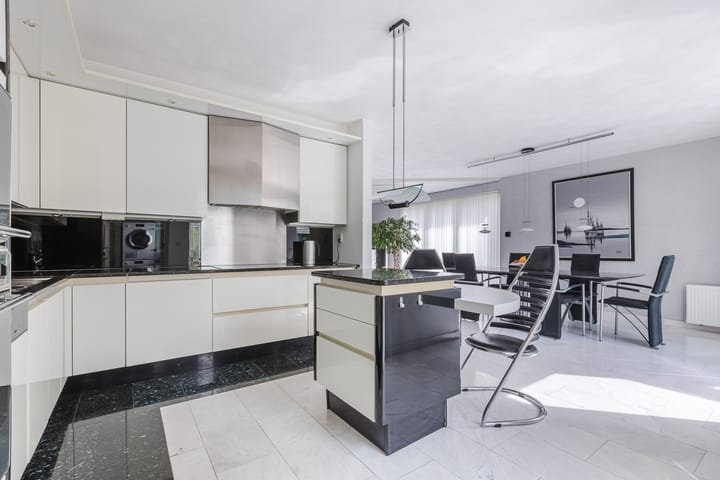 Photo 18 of Zwarte Dolfijn 26