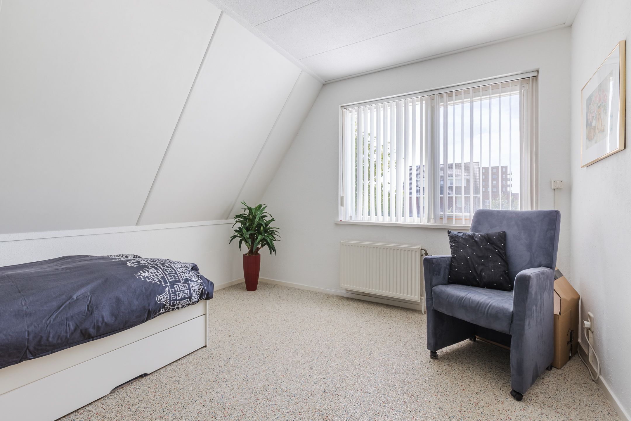 Foto 30 van Zwarte Dolfijn 26