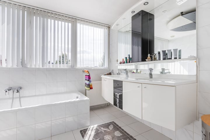 Photo 35 of Zwarte Dolfijn 26