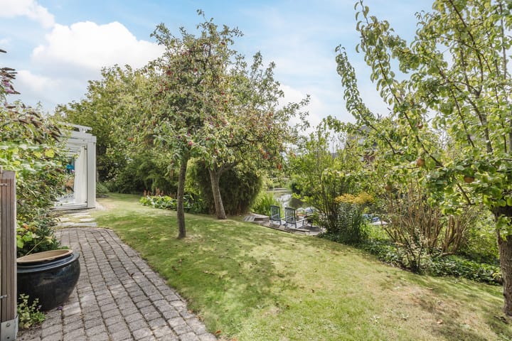 Photo 46 of Zwarte Dolfijn 26