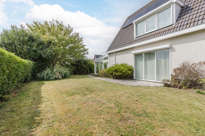 Photo 53 of Zwarte Dolfijn 26