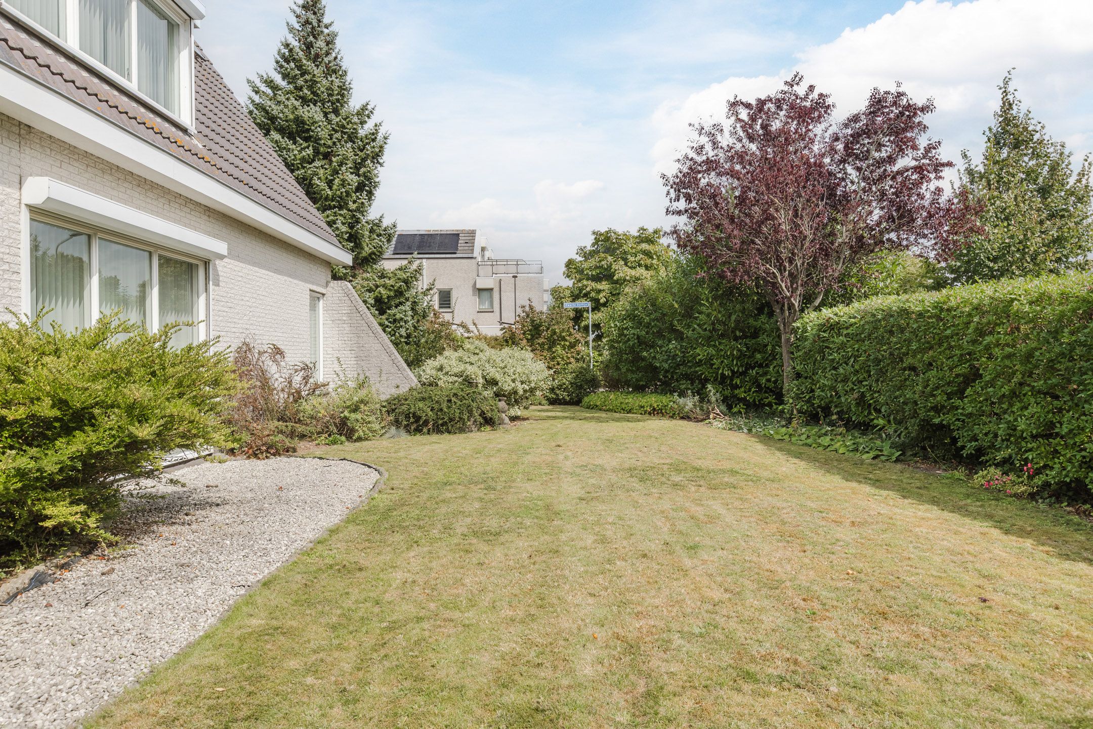 Foto 54 van Zwarte Dolfijn 26