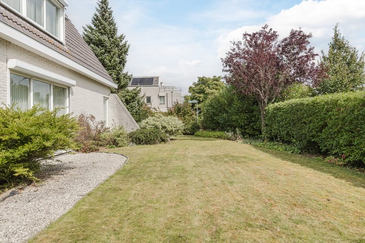 Photo 54 of Zwarte Dolfijn 26