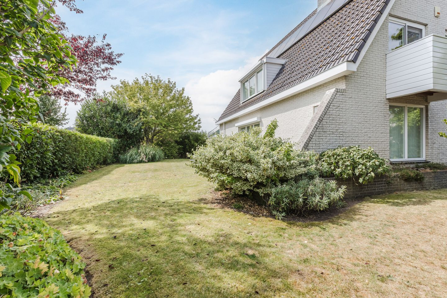 Foto 55 van Zwarte Dolfijn 26