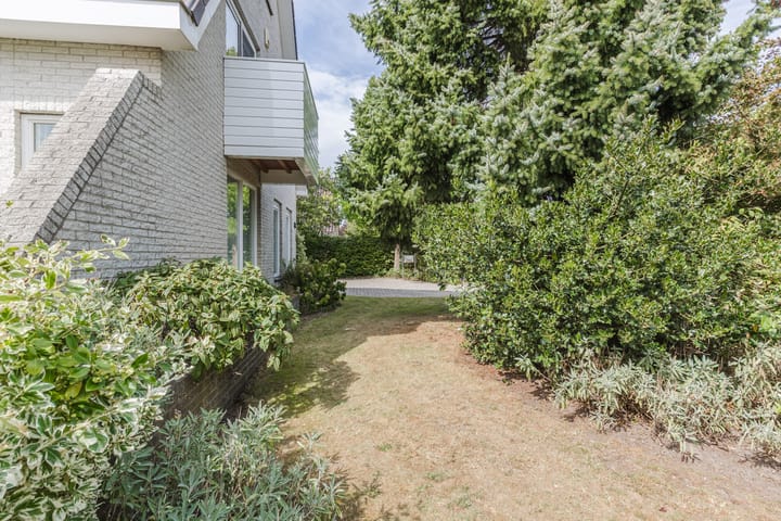 Photo 56 of Zwarte Dolfijn 26