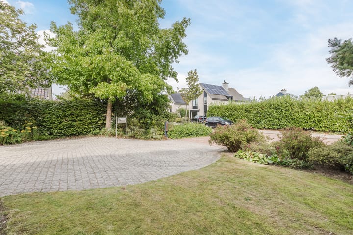 Photo 58 of Zwarte Dolfijn 26