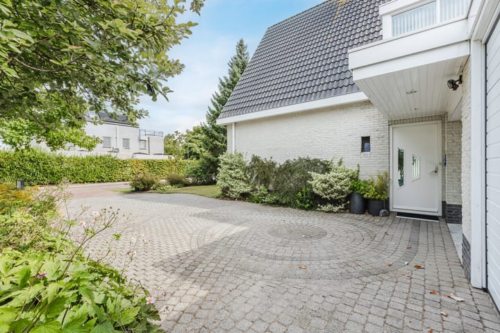 Photo 59 of Zwarte Dolfijn 26