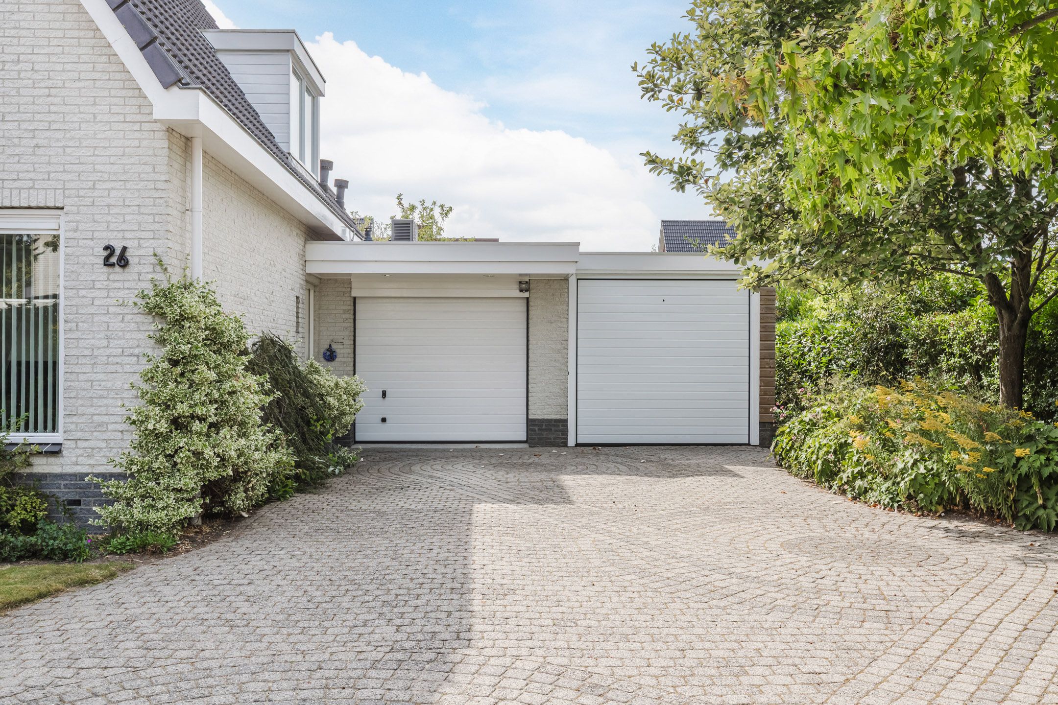 Foto 60 van Zwarte Dolfijn 26