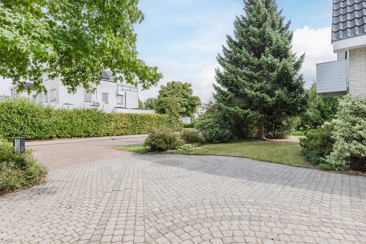 Photo 61 of Zwarte Dolfijn 26