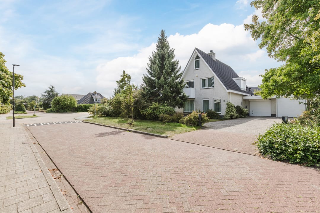 Foto 62 van Zwarte Dolfijn 26