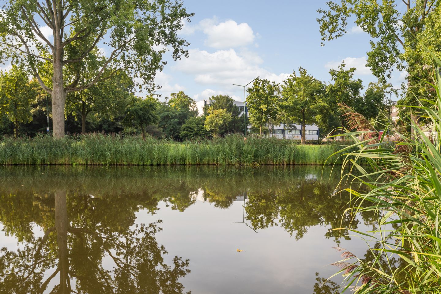 Foto 49 van Lelystraat 2-E63