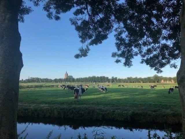 Foto 33 van Monnickenmeer 5-A