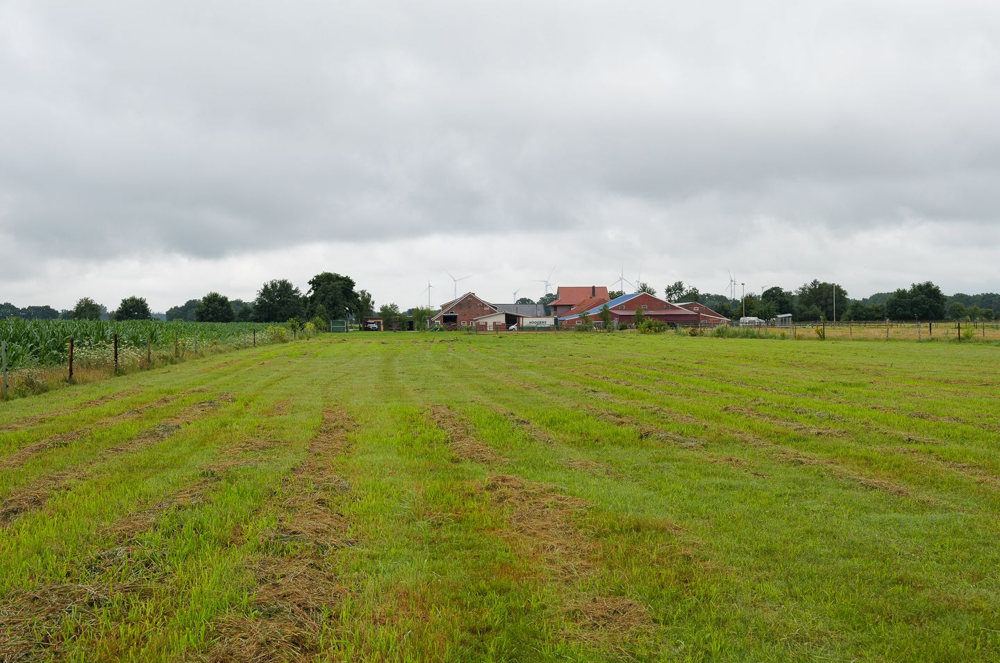 Foto 64 van Eichenstraße 12
