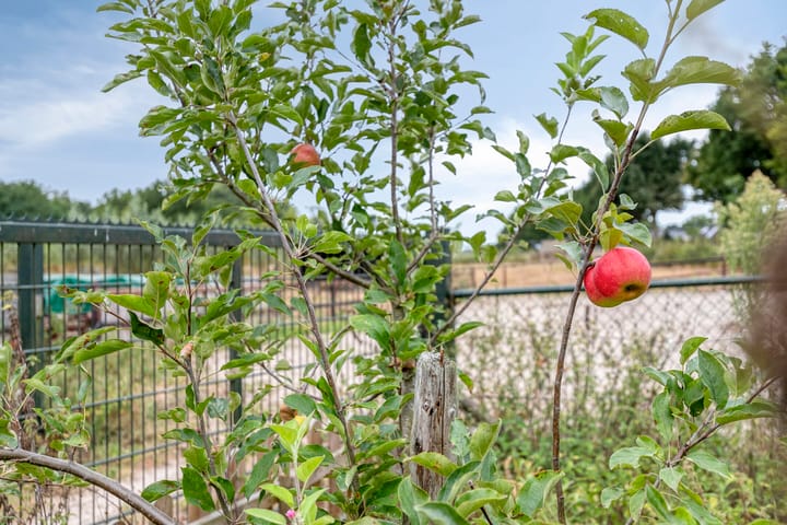 Foto 55 van Hulder 10