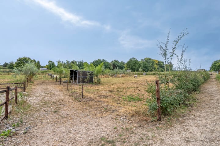 Foto 60 van Hulder 10