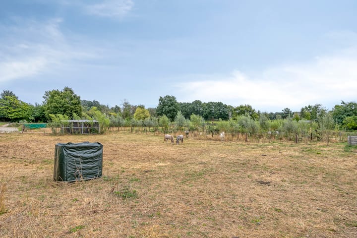 Foto 61 van Hulder 10