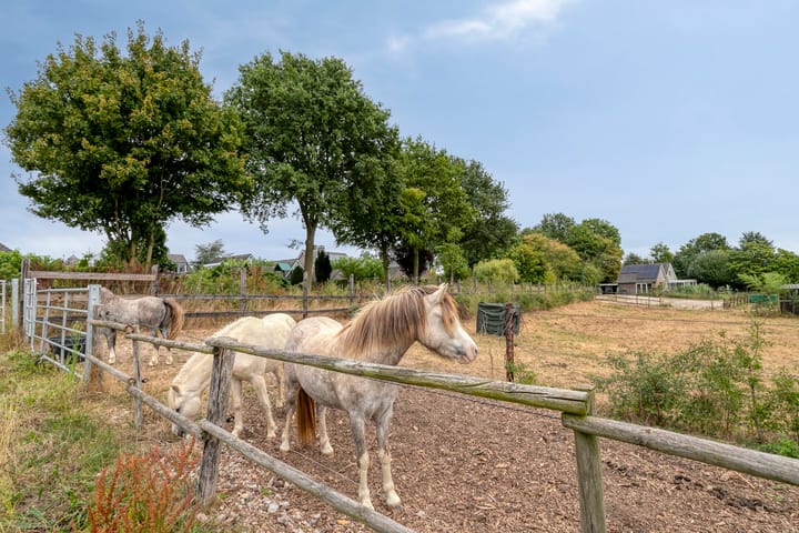 Foto 65 van Hulder 10