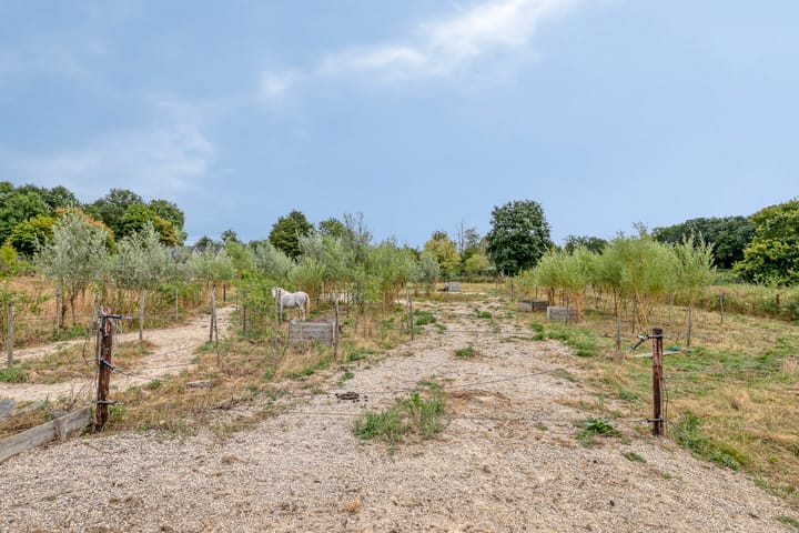 Foto 66 van Hulder 10