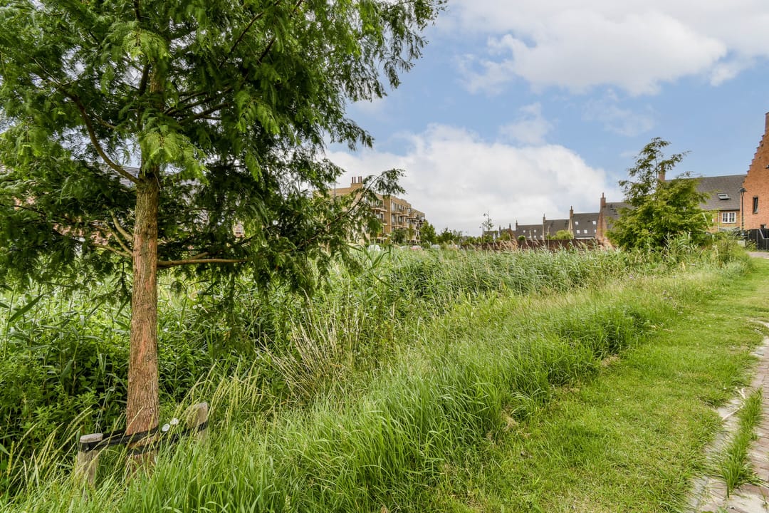 Photo 16 of Laan van York 4