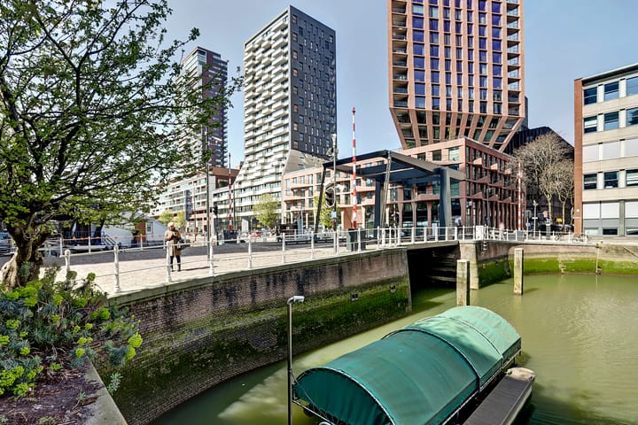 Foto 52 van Wijnhaven 65-D02