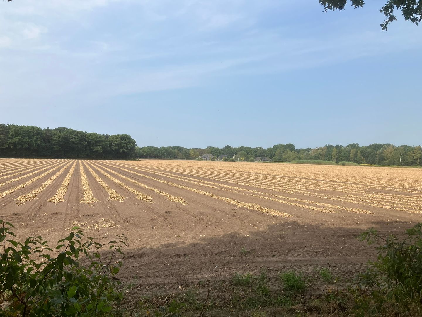 Bekijk foto 3 van Oude Lieshoutsedijk