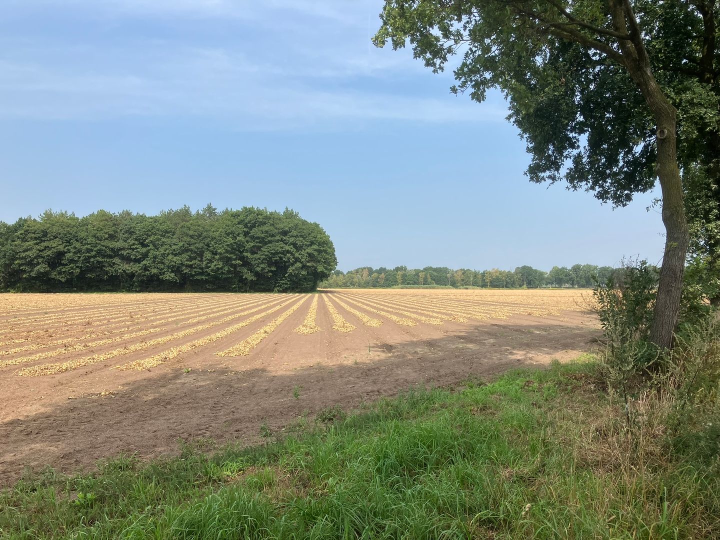 Bekijk foto 2 van Oude Lieshoutsedijk