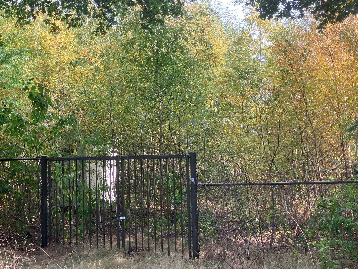 Bekijk foto 5 van Oude Lieshoutsedijk