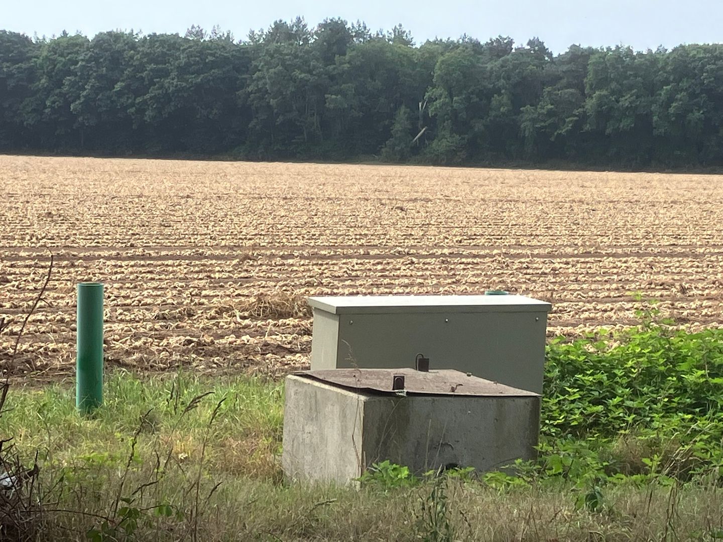 Bekijk foto 4 van Oude Lieshoutsedijk