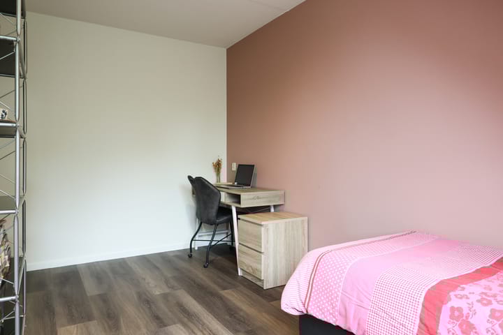 Photo 40 of Sânbuorren 12