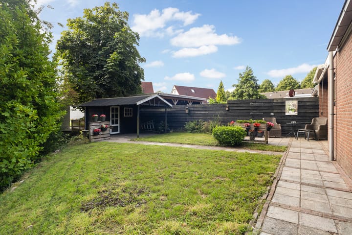 Photo 56 of Sânbuorren 12