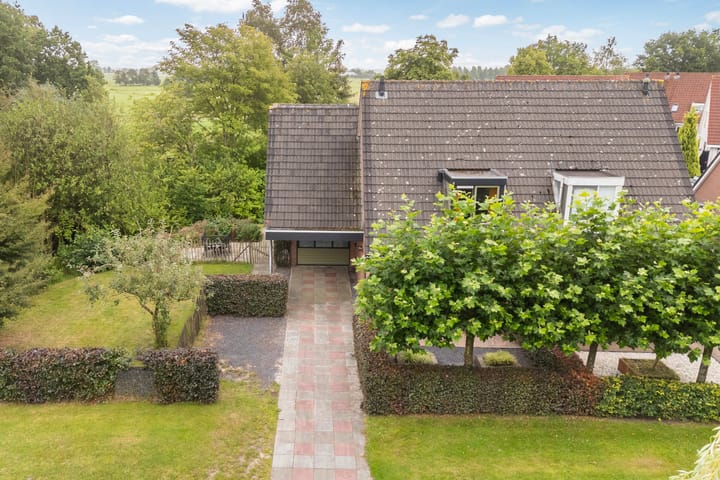 Photo 81 of Sânbuorren 12