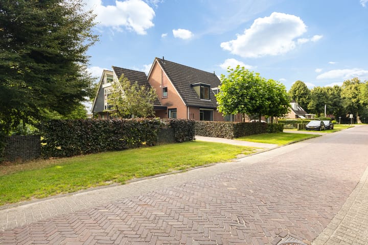 Photo 85 of Sânbuorren 12