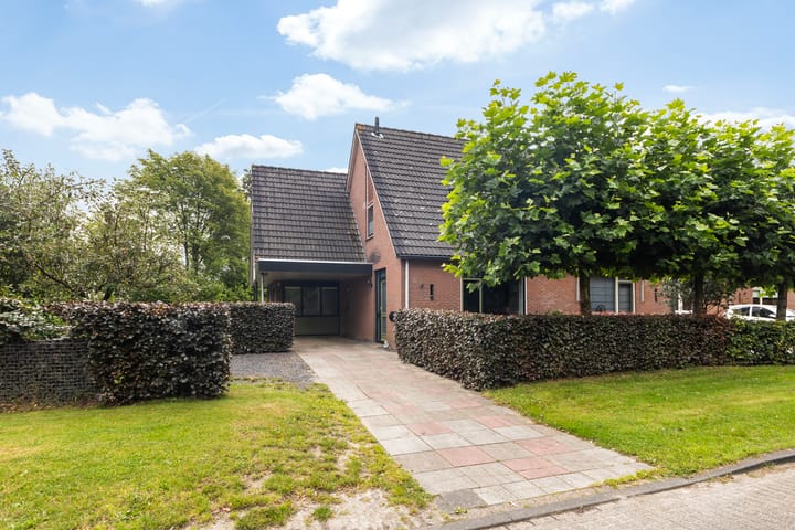 Photo 86 of Sânbuorren 12