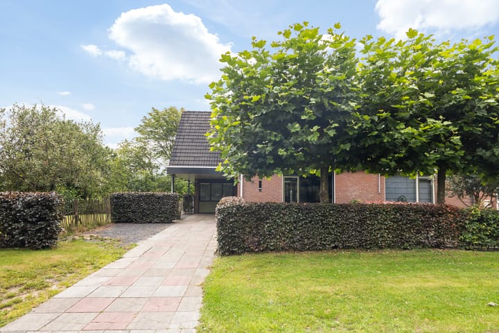 Photo 87 of Sânbuorren 12