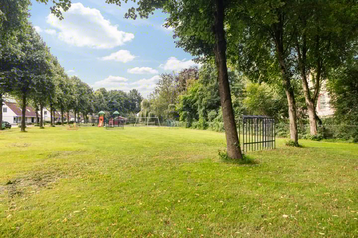 Photo 89 of Sânbuorren 12