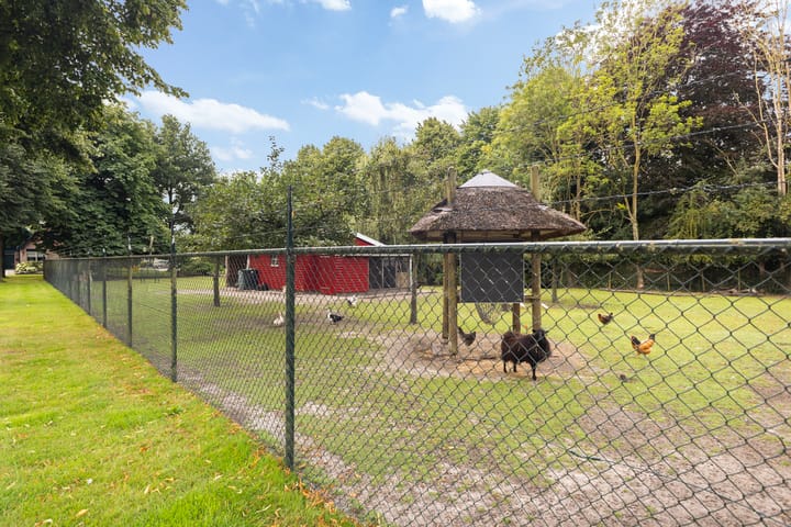 Photo 90 of Sânbuorren 12