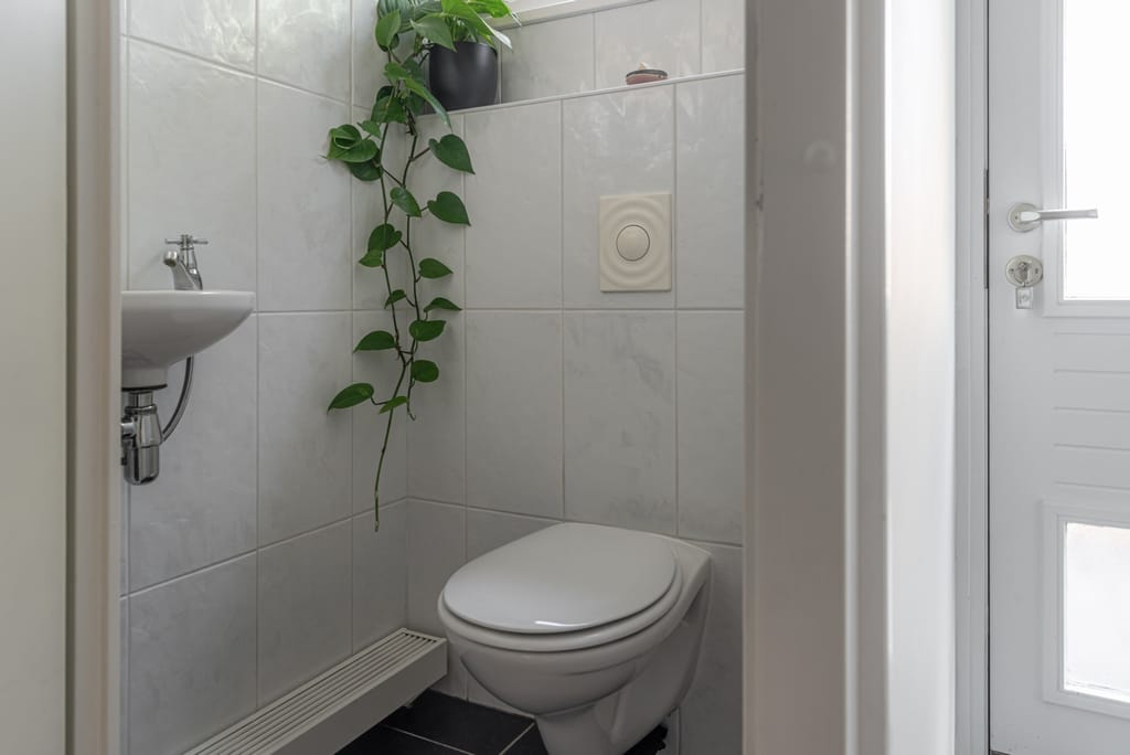 Foto 34 van Zijlroede 90