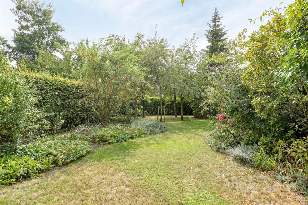 Photo 62 of Vijverbos 11