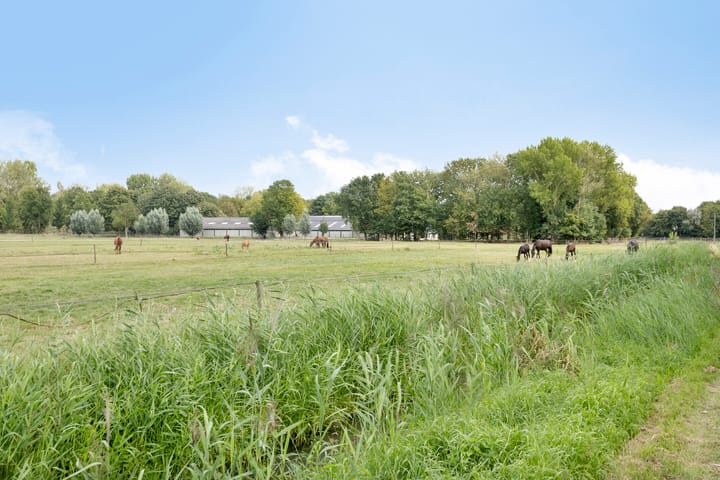 Foto 67 van Vijverbos 11