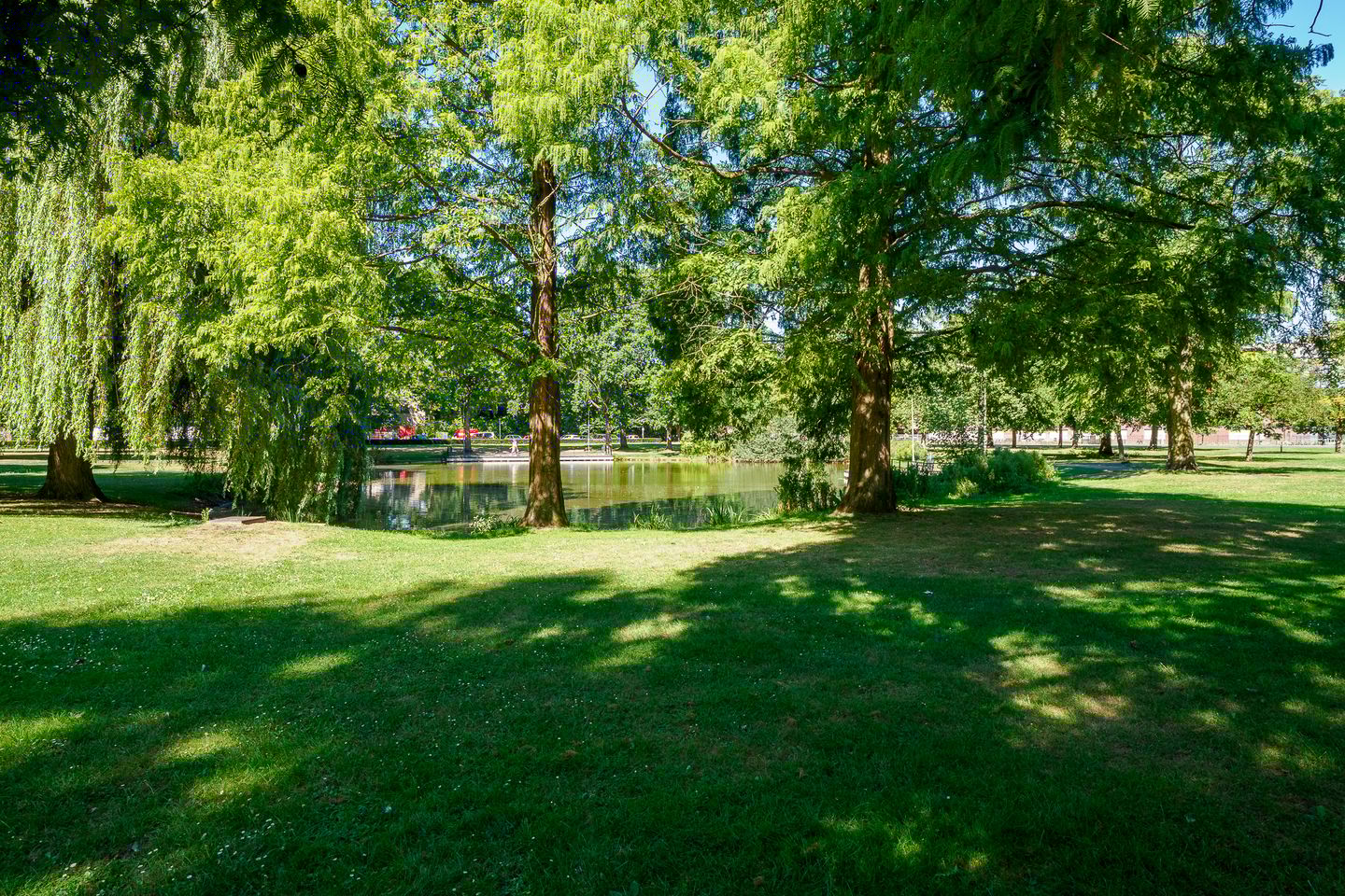 Foto 55 van M.A. de Ruyterstraat 50-C