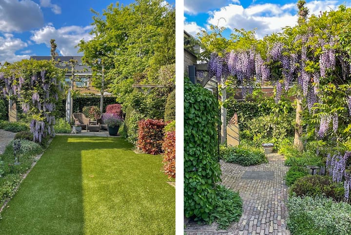 Foto 53 van Koningsdam 65