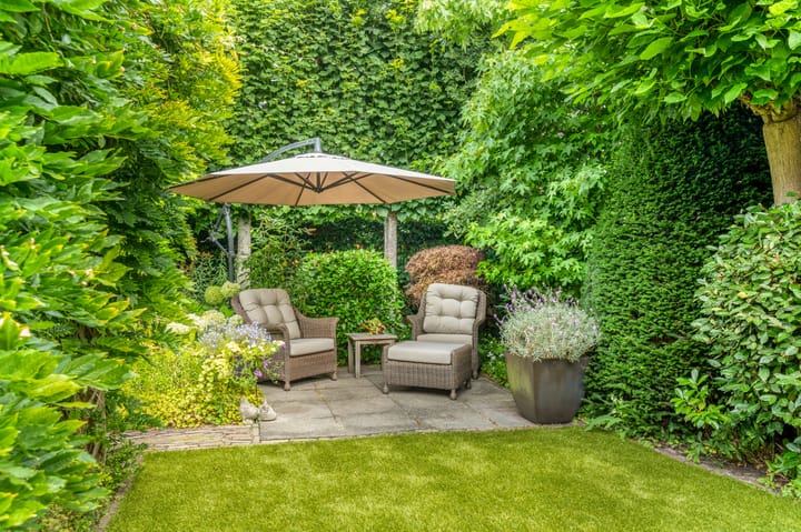 Foto 57 van Koningsdam 65