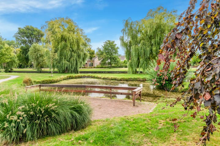 Foto 67 van Koningsdam 65