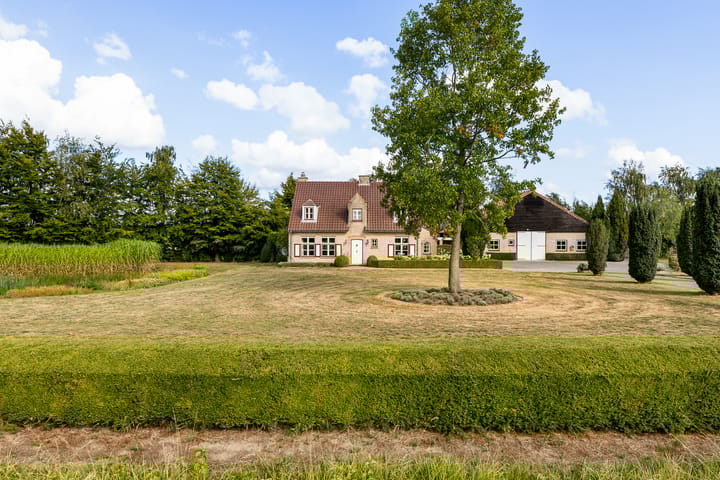 Photo 5 of Riet- en Wulfsdijkweg 26