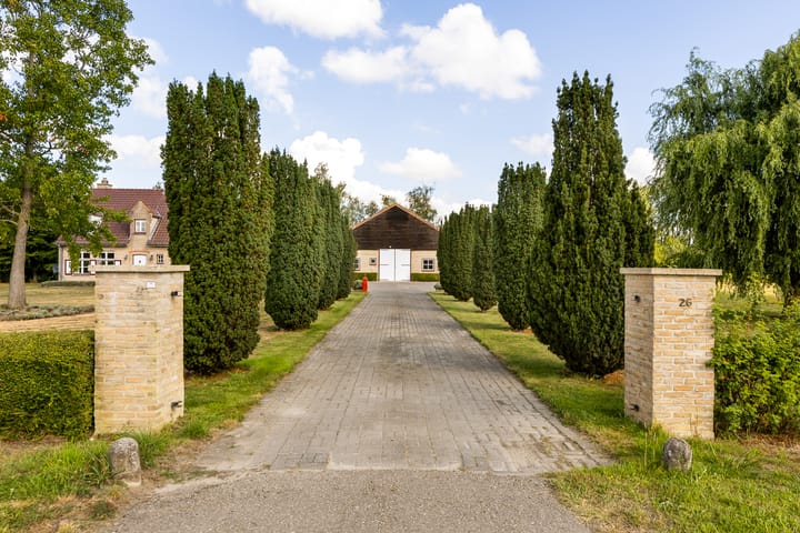 Photo 6 of Riet- en Wulfsdijkweg 26