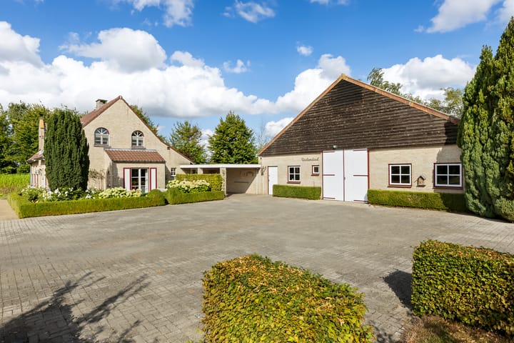 Photo 37 of Riet- en Wulfsdijkweg 26