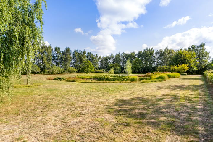 Photo 43 of Riet- en Wulfsdijkweg 26