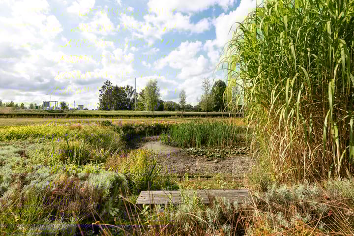 Photo 45 of Riet- en Wulfsdijkweg 26